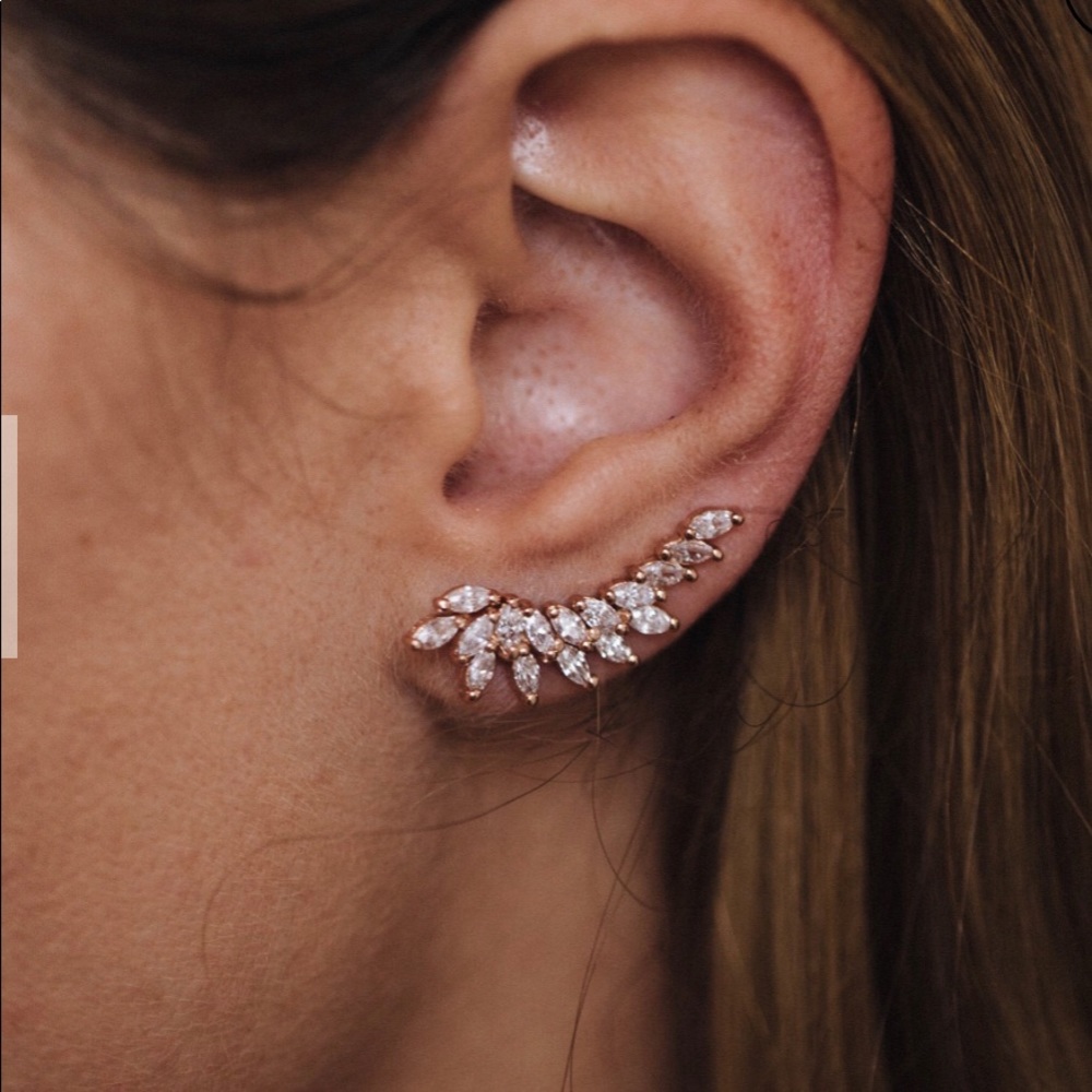NWT Sashi Isabella Ear Climbers in Gold